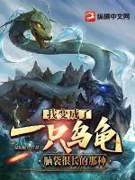 《我变成了一只乌龟，脑袋很长的那种》小说封面