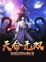 《天命无双》小说封面