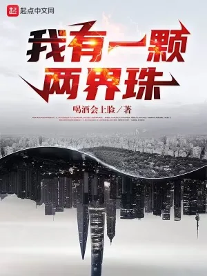 《我有一颗两界珠》小说封面