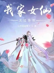 《我家女仙太过多情》小说封面