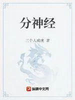 《分神经》小说封面