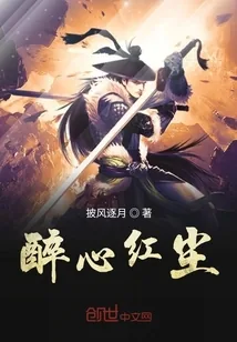 《醉心红尘》小说封面