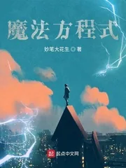 《魔法方程式》小说封面