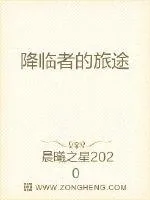 《降临者的旅途》小说封面