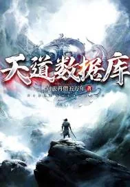 《天道数据库》小说封面