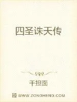 《四圣诛天传》小说封面