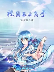 《校园幕后高手》小说封面