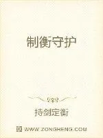 《制衡守护》小说封面