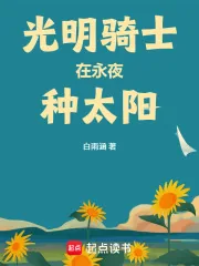 《光明骑士在永夜种太阳》小说封面