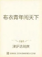 《布衣青年闯天下》小说封面