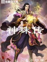 《神珠传》小说封面