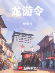 《龙游令》小说封面