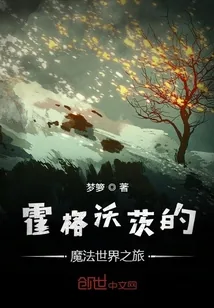 《霍格沃茨的魔法世界之旅》小说封面