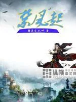 《禁风起》小说封面
