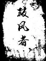 《破风者》小说封面