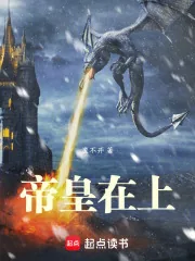 《帝皇在上》小说封面