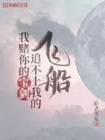 《我赌你的宝剑追不上我的飞船》小说封面