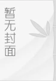 《曹魏的光与影》小说封面