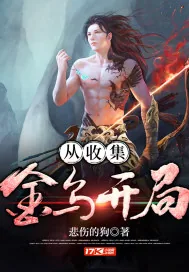 《从收集金乌开局》小说封面