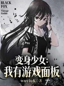 《变身少女:我有游戏面板》小说封面