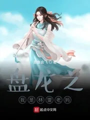 《盘龙之我是林雷老妈》小说封面
