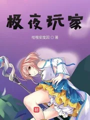 《极夜玩家》小说封面