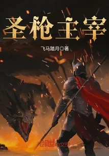 《圣枪主宰》小说封面