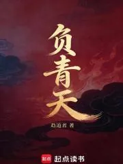 《负青天》小说封面