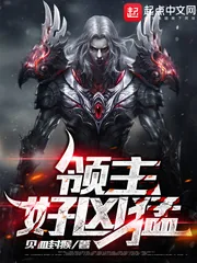 《领主好凶猛》小说封面
