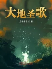 《大地圣歌》小说封面