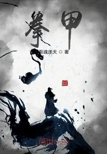 《拳甲》小说封面