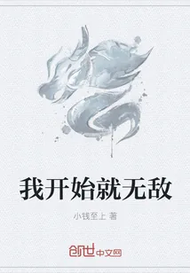 《我开始就无敌》小说封面