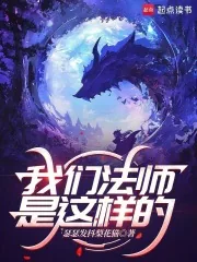《我们法师是这样的》小说封面