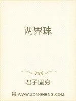 《两界珠》小说封面