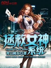 《拯救女神系统》小说封面