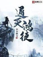 《通天鸿徒》小说封面