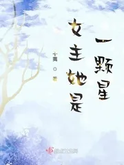《女主她是一颗星》小说封面