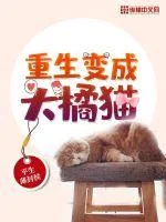 《重生变成大橘猫》小说封面