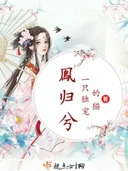 《鳯归兮》小说封面