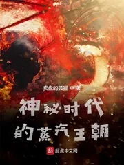 《神秘时代的蒸汽王朝》小说封面