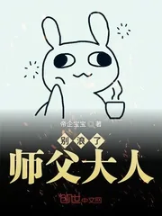 《别浪了师父大人》小说封面
