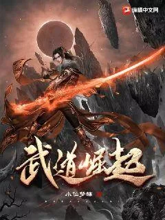 《武道崛起》小说封面