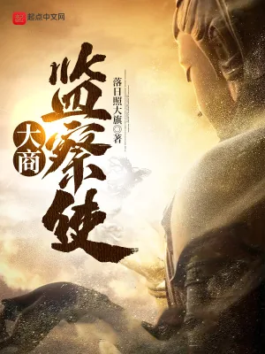 《大商监察使》封面