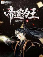 《帝道为王》小说封面