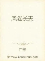 《风卷长天》小说封面