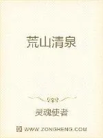 《荒山清泉》小说封面