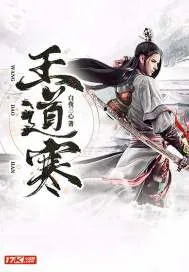 《王道寒》小说封面
