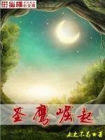 《圣鹰崛起》小说封面