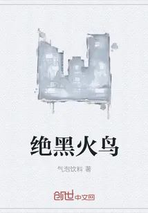 《绝黑火鸟》小说封面