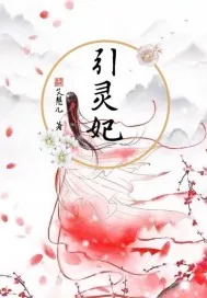 《引灵妃》小说封面